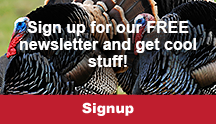 Newsletter Signup