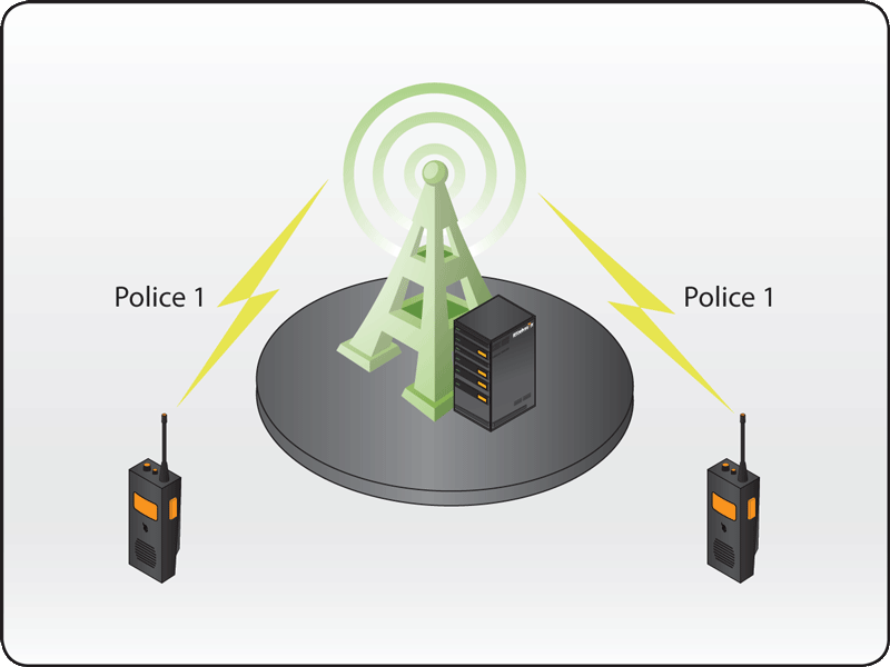 Hybrid IP25™